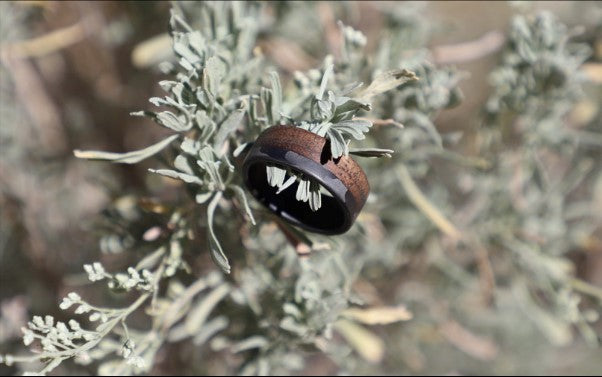 A sleek carbon fiber ring with a metal inlay hanging naturally on a rustic wooden branch, with a soft, organic outdoor background.