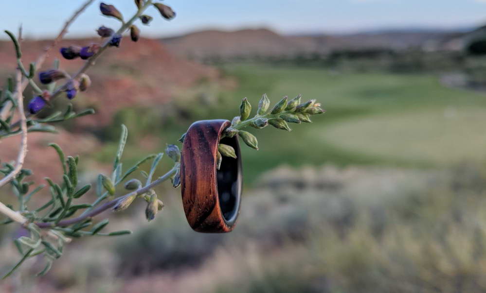 cocobolo ring with carbon fiber sleeve on a branch