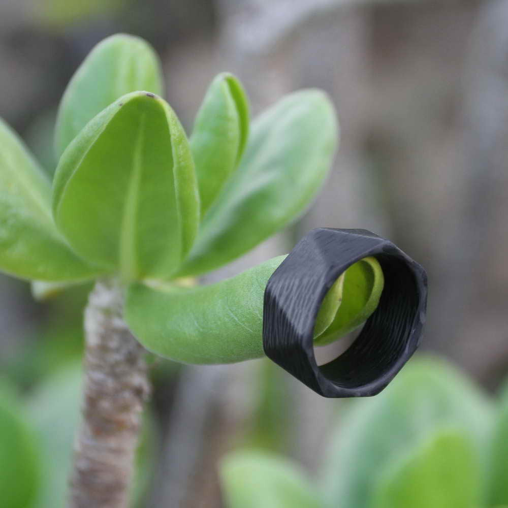 Carbon Fiber Men's Ring Balancing On A Branch