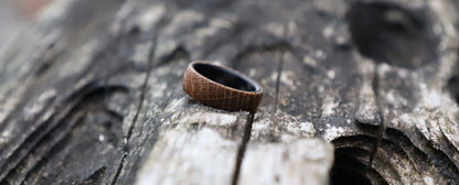 whiskey barrel ring with carbon fiber sleeve on a tree trunk